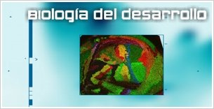 CBMSO. Thumbnail 1