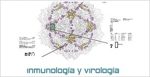 CBMSO. Thumbnail 2