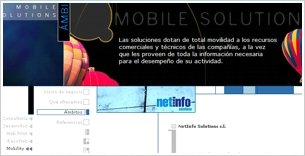NetInfo Solutions. Thumbnail 1