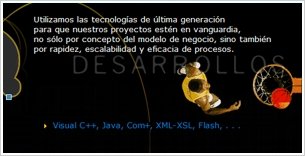 NetInfo Solutions. Thumbnail 2