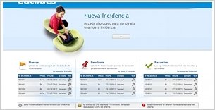 Portal de Incidencias. Thumbnail 2